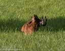 20200809-shl-0074