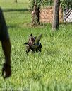 20200809-shl-0100