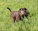 20200809-shl-0118