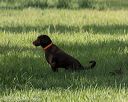 20200809-shl-0120