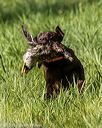 20200809-shl-0123