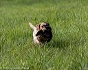 20200809-shl-0135