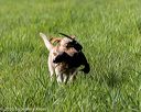 20200809-shl-0138