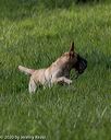 20200809-shl-0147