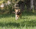 20200809-shl-0174