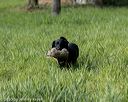 20200809-shl-0292