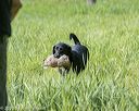 20200809-shl-0296
