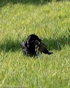 20200809-shl-0302
