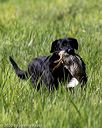 20200809-shl-0307