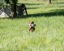 20200809-shl-0446