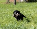 20200809-shl-0513