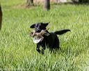 20200809-shl-0514