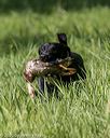 20200809-shl-0533