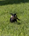 20200809-shl-0624