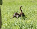20200809-shl-0659