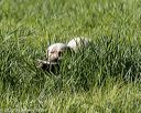 20200809-shl-0669