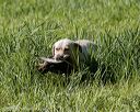 20200809-shl-0672