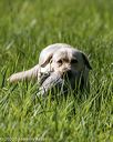 20200809-shl-0684