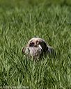 20200809-shl-0697