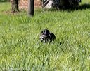 20200809-shl-0712