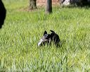 20200809-shl-0715