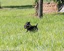 20200809-shl-0755