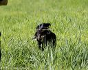 20200809-shl-0770