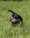 20200809-shl-0796