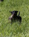 20200809-shl-0798