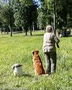 20200809-shl-0808