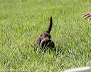20200809-shl-0883