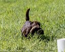 20200809-shl-0887
