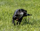 20200809-shl-0928