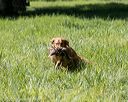 20200809-shl-0977