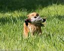 20200809-shl-1015