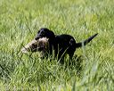20200809-shl-1045