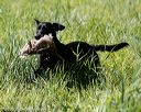 20200809-shl-1047