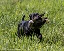 20200809-shl-1058