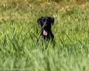 20200809-shl-1072