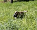 20200809-shl-1097