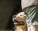 20200809-shl-1144