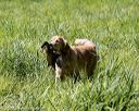 20200809-shl-1153