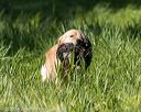 20200809-shl-1176