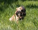 20200809-shl-1178