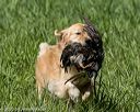 20200809-shl-1182