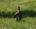 20200809-shl-1216