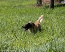 20200809-shl-1233