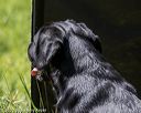 20200809-shl-1274