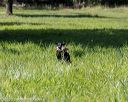 20200809-shl-1280