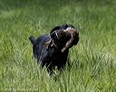 20200809-shl-1325